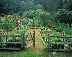 Easy step by step guide to build a split rail fence that is functional and beautiful. Kitchen Garden Organic Herb Kitchen Gardening