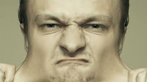 Smith Business Insight