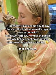 let's talk about *seemingly* harmless stereotypes about cats' coat color!!  👀 • • • #fyp #catsofinstagram #cats