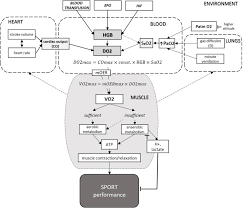 Image result for Blood Doping