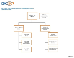 41 comprehensive communications department org chart