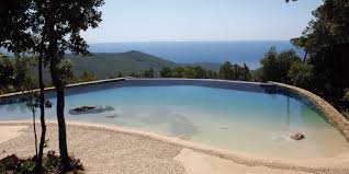 Foto Piscine Private Galleria Piscine Forma Libera Foto Piscine Naturali Backyard Beach Natural Pool Pool