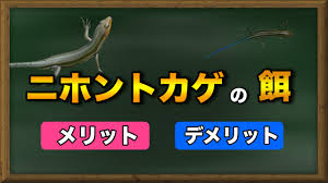 えこスタ ブログ