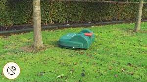 Have you ever wondered how a professional lawn mowing contractor can get those beautiful edges that make a lawn look its best. Belrobotics Robot Lawn Mowers The Robot Mower