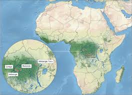 Ii.location of tropical rainforest biome. Isotopic And Microbotanical Insights Into Iron Age Agricultural Reliance In The Central African Rainforest Communications Biology