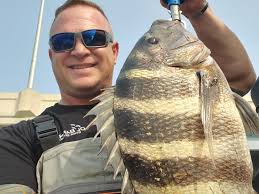 Sheepshead bite, big fluke hits at Manasquan as season nears end