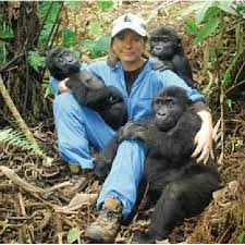 Our strategy was inspired by reddit's gme short squeeze, where wsb was the first community to take a stand against the status quo of wall street. 5 Orphaned Grauer S Gorillas En Route To Grace Dian Fossey Gorilla Download Scientific Diagram