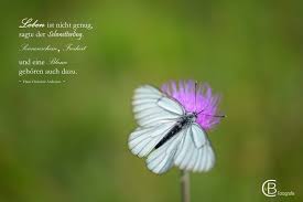 Schmetterling Spruche Schmetterling Spruch Schmetterling Spruche