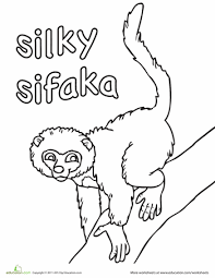 They live on the island of madagascar. Lemur Worksheet Education Com Coloring Pages Lemur Color