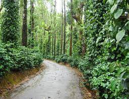 Best South India Itinerary Best Places To Visit In Coorg Karnataka 1 Romantic Honeymoon Destinations Cool Places To Visit Honeymoon Destinations
