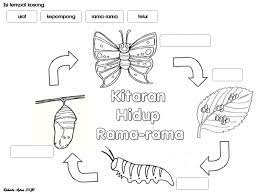 Check spelling or type a new query. Lukisan Rama Rama Tahun 1 Cikimm Com