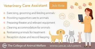 Get daily deals and local insights near you today! Veterinary Care Assistant Caw Careers Advice