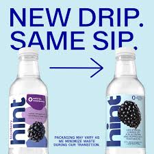 Blackberry Infused Water 16 oz | Hint – drinkhint.com