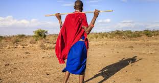 stop the eviction of the Maasai from ...