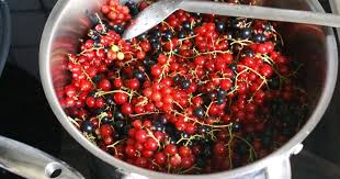 Comment Preparer Gelee Et Sirop De Groseilles Et Cassis Recette Par Chef Simon Sirop De Groseille Gelee Groseille Groseille