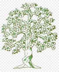 We did not find results for: Tree Branches Flowering Tree Png Image Cherry Blossom Realistic Tree Drawing Transparent Png 1094x1280 3750507 Pngfind