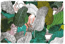 Ayahuasca is a psychoactive tea derived from plants containing maois and dmt. Ayahuasca A Strong Cup Of Tea The New York Times