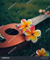 3,949 Ukulele Flower Images, Stock Photos, 3D objects, & Vectors |  Shutterstock