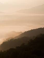 Obituary information for Gregory Ray Nunn