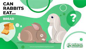 'nontoxic' does not, however, mean 'safe,' and pet owners who are concerned with keeping their bunnies as healthy as possible should try to avoid giving them. Can Rabbits Eat Bread We Re All About Pets
