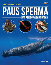 Sepuluh ekor paus sperma terdampar di pesisir pantai ujong kareng, provinsi aceh. Seri Dunia Bawah Laut Paus Sperma Dan Penghuni Laut Dalam Store Tiga Serangkai
