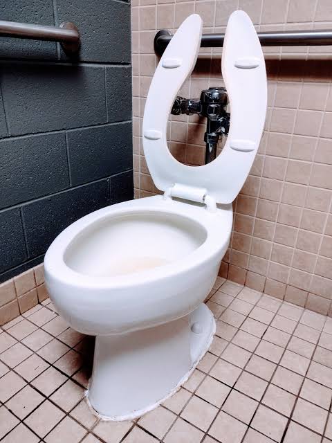 Reason why some public toilets have u-shaped seats