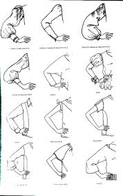 Ornek Kol Cizimleri Cizim Koltuklar