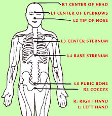 Welcome To The Integrative Energy Medicine Institute