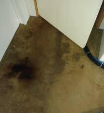 I know i haven't posted in a while, and there is a good reason for that. Carpet Cleaning In Ocala And The Villages Florida Chris Carpet Care