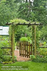 Pin By Anne Rundlett Jennings On Garden Garden Arches Wooden Arbor Fenced Vegetable Garden