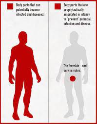 Pin On Circumcision Information