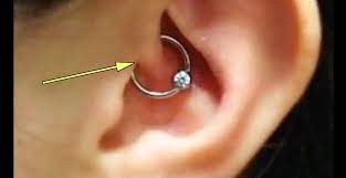 If You Notice Somebody With This Ear Piercing It Means This Piercing Ear Piercings Daith Piercing