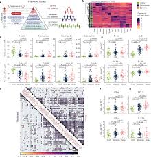 Prove that the tangents drawn at the ends of a diameter of a circle are question 27. Longitudinal Analyses Reveal Immunological Misfiring In Severe Covid 19 Nature