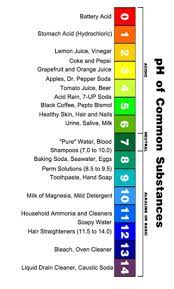 Master List Of Typical Ph And Acid Content Of Fruits And Vegetables For Home Canning And Preserving