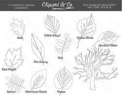 Black And White Outline Fall Tree Clipart Outline Fall Leaf Clipart And Tree Clip Art Digital Stamps Etsy In 2020 Leaf Clipart Clip Art Digital Stamps