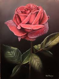 Red Rose Art Titled Red Velvet Rose By Delmus Phelps Oil 12 X 9 Rose Painting Rose Oil Painting Flower Painting