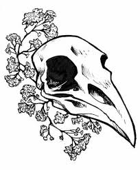 Pin By Ghost On Art Skull Drawing Animal Skull Drawing Skull Art