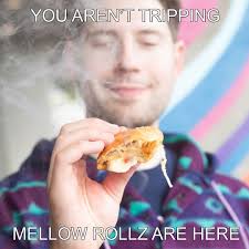 Shark Week survival tip: eat a Great White before it eats you 🦈