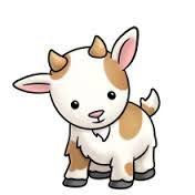 We do this on the basis of the latest scientific insights. 7 Ideias De Cabrita Cabra Animais Cabritinhos