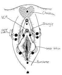 I have big inner labia because if it were smaller my outer lips would swallow it all up. The Studio Flux Piercing