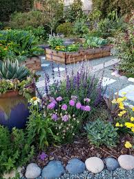 Perennial plants are a good choice for low maintenance and low cost landscaping. Top 23 Plants For Pollinators Attract Bees Butterflies Hummingbirds Homestead And Chill