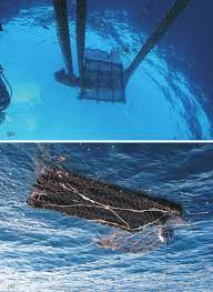 Pictures of artificial drifting fish aggregating devices (DFADs) in the...  | Download Scientific Diagram