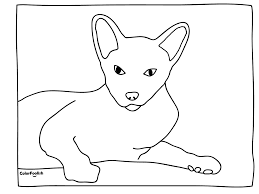 Kerst hond kleurplaat page 1 voyceeu. Kleurplaat Van Ontspannende Siamese Kat Colorfoolish