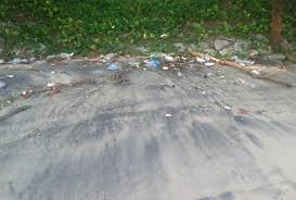 Mereka dapat mempengaruhi gula darah, menyebabkan kram perut, dan bahkan memiliki efek tertentu (tetapi tidak jelas) pada wanita. Recce News From The International Coastal Cleanup Singapore Page 2