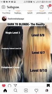 Lightning Natural And Artificial Color Hair Painting Hair Photo Dark Blonde