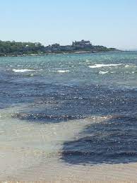 2020 top things to do in falmouth. Wood Neck Beach Picture Of Wood Neck Beach Falmouth Tripadvisor