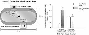 It can stand for business development manager in job listings. Frontiers Endocannabinoids Interact With The Dopaminergic System To Increase Sexual Motivation Lessons From The Sexual Satiety Phenomenon Behavioral Neuroscience