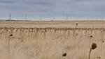 water crisis looms Cape Town,