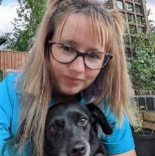 The Groomers Spotlight