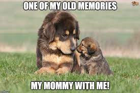 I Love My Mom Imgflip
